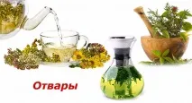Лікування нирок народними засобами в домашніх умовах нирок