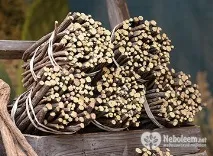 Лакриця - уральська солодка солодка