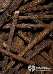 Лакриця - уральська солодка лакриця