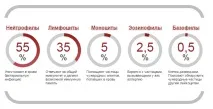 Лейкоцити в крові, Я стыдлюсь свого тіла свого
