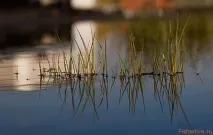 Лов окуня по відкритій воді навесні, Поради рибалкам навесні