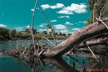 Лов окуня по відкритій воді навесні, Поради рибалкам окуня