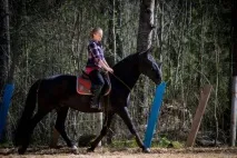 Коні бояться парасольок і знущаються з новачків коня