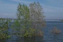 Лов окуня по відкритій воді навесні, Поради рибалкам відкритій