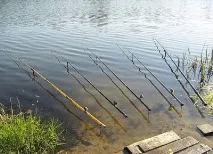 місця