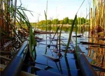 проживання