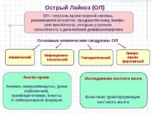 лейкоз