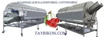 картофеля