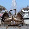 Майстер-клас з валяння «Лебедина вірність» вірність
