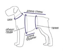 майсторски