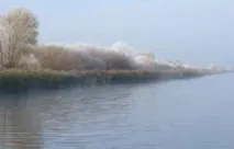 Температура та клювання риби риби