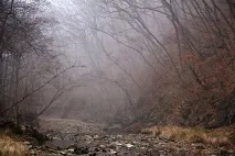 Таємниці туманів тумани