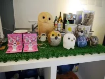 The Owl Cafe» - японське кафе для любителів сов випити