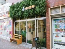 The Owl Cafe» - японське кафе для любителів сов кафе