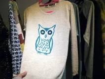 The Owl Cafe» - японське кафе для любителів сов випити