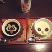 The Owl Cafe» - японське кафе для любителів сов випити