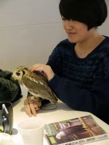 The Owl Cafe» - японське кафе для любителів сов cafe