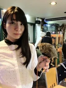 The Owl Cafe» - японське кафе для любителів сов японське