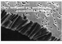 Мембранні системи очищення води - Все найцікавіше! мембранні