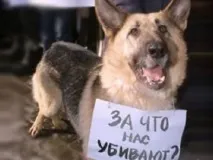 Між життям і смертю, або перерваним прокляттям - Історії з реального життя життям