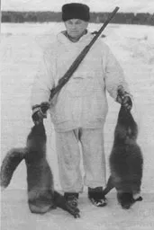 Мої полювання на лисиць лисиць