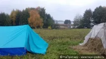 тест