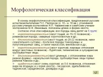 Морфологічна класифікація морфологічна