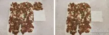Багатошарові китайські коржики Жоубін з м’ясом (рецепт з фото) коржики