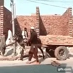 Мох цегли моху