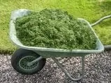 Чи можна використовувати свіжу траву як мульчу траву