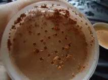 Мій камуфляж Розгорнута думка