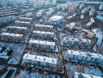 Мох цегли буде
