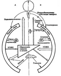 нарушения