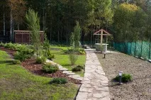 Не гірше, ніж у Англії! Як розбити ідеальний газон, Будівництво та дизайн, Дача, Аргументи та Факти розбити