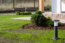 Не гірше, ніж у Англії! Як розбити ідеальний газон, Будівництво та дизайн, Дача, Аргументи та Факти ідеальний