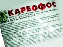 Обробка від клопів – позбавляємося паразитів у будинку будинку