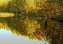 Восени на вудку не ловить тільки лінивий лінивий