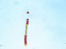 Оплетення яйця з термонаклейкою, все про бісер і бісерну творчість бісер