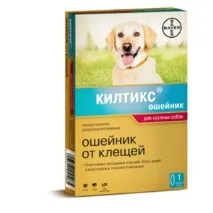 нашийник