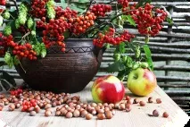 Листівка (плейкаст) «Осінній букет, як прощання з літом плейкаст