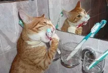 догляду