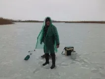 зимової