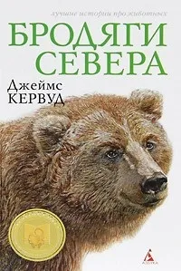 рецензии