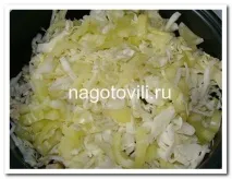 Овочеве рагу з м’ясом у мультиварці ясом