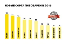 Пивний ринок Білорусі у 2016 році білорусі