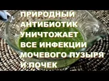 Ломфлокс