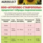 Препарати бору в системі харчування соняшника харчування