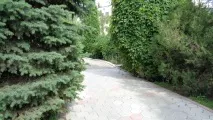 ПРЕЙСКУРАНТ ЦІН на медичні послуги з ЛЦ «ЕСКУЛАП» прейскурант