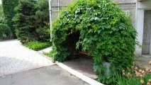 ПРЕЙСКУРАНТ ЦІН на медичні послуги з ЛЦ «ЕСКУЛАП» медичні