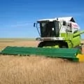 Причіпне - пошук слів за маскою та визначенням, відповіді на сканворди слів